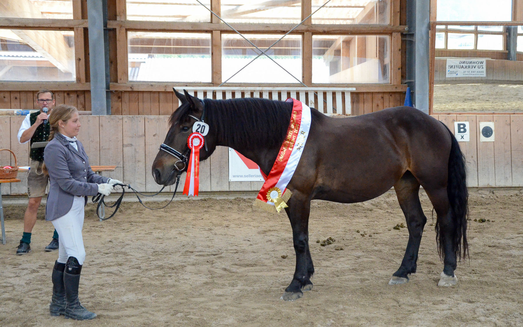 Vielversprechende Fohlen und Reitpferde in Kuchl.jpg © Pferdezucht Salzburg