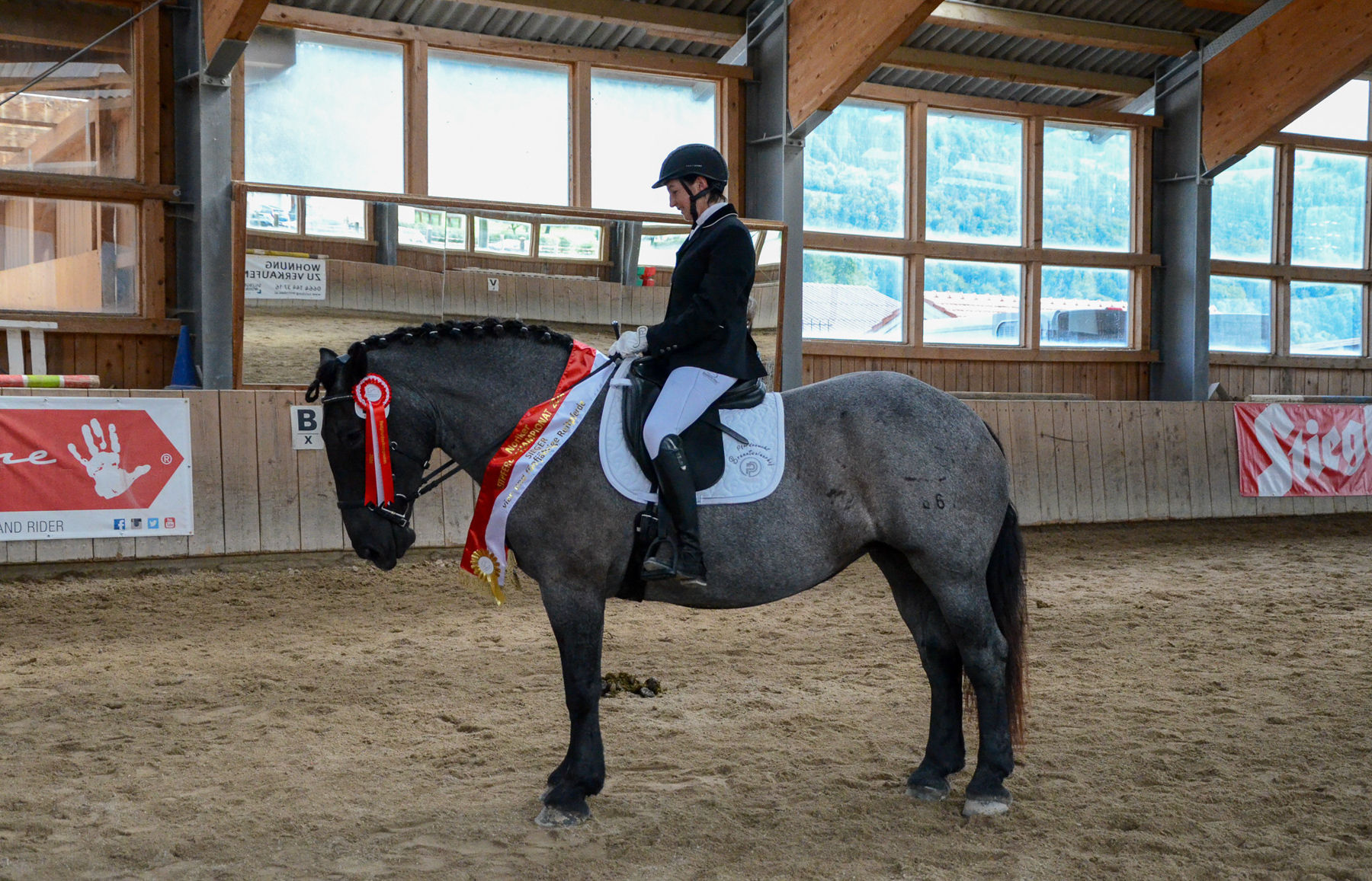 Vielversprechende Fohlen und Reitpferde in Kuchl.jpg © Pferdezucht Salzburg Vielversprechende Fohlen und Reitpferde in Kuchl.jpg © Pferdezucht Salzburg