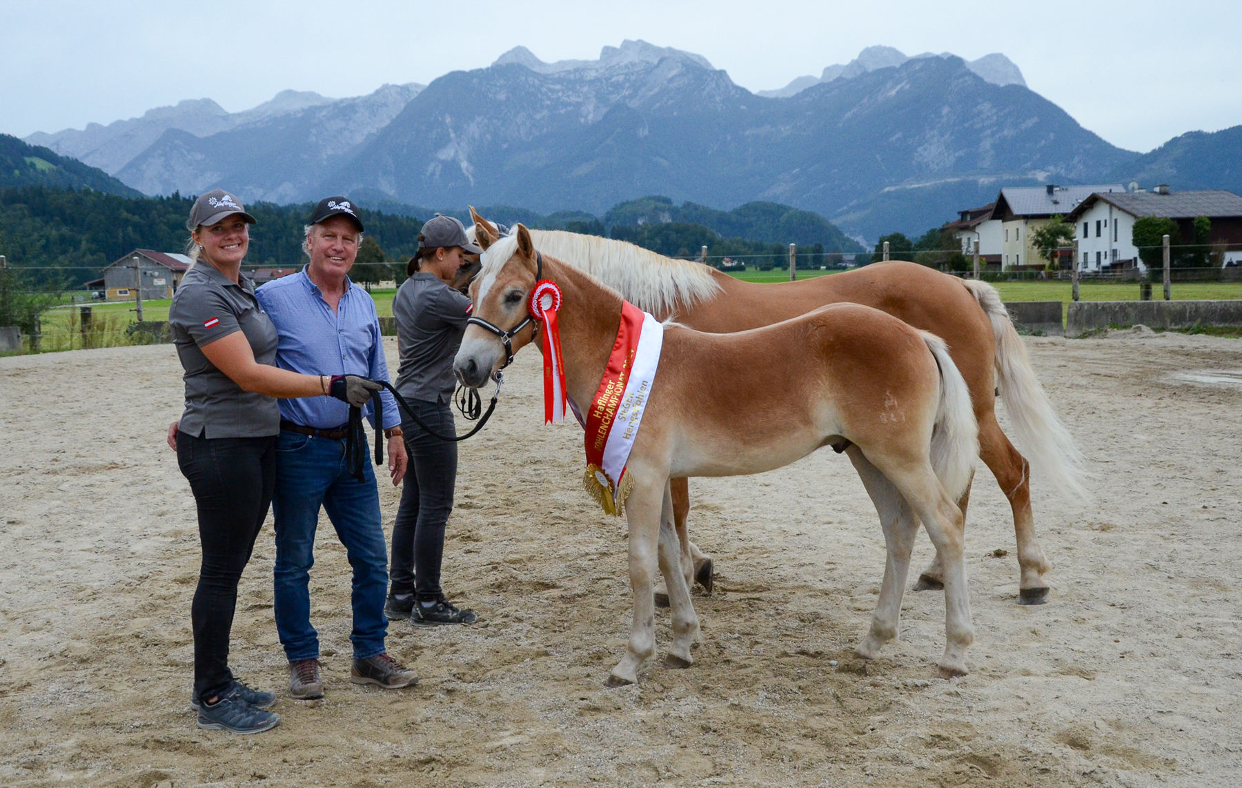 Vielversprechende Fohlen und Reitpferde in Kuchl.jpg © Pferdezucht Salzburg