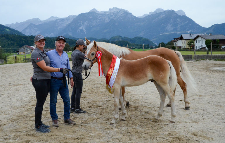 Vielversprechende Fohlen und Reitpferde in Kuchl.jpg © Pferdezucht Salzburg Vielversprechende Fohlen und Reitpferde in Kuchl.jpg © Pferdezucht Salzburg