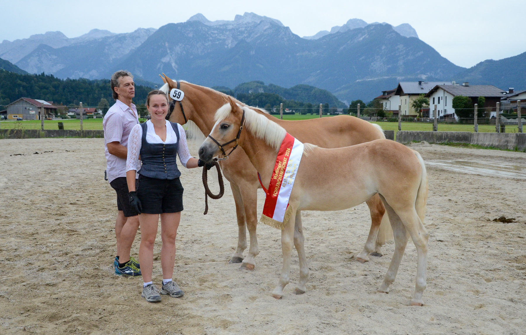 Vielversprechende Fohlen und Reitpferde in Kuchl.jpg © Pferdezucht Salzburg Vielversprechende Fohlen und Reitpferde in Kuchl.jpg © Pferdezucht Salzburg