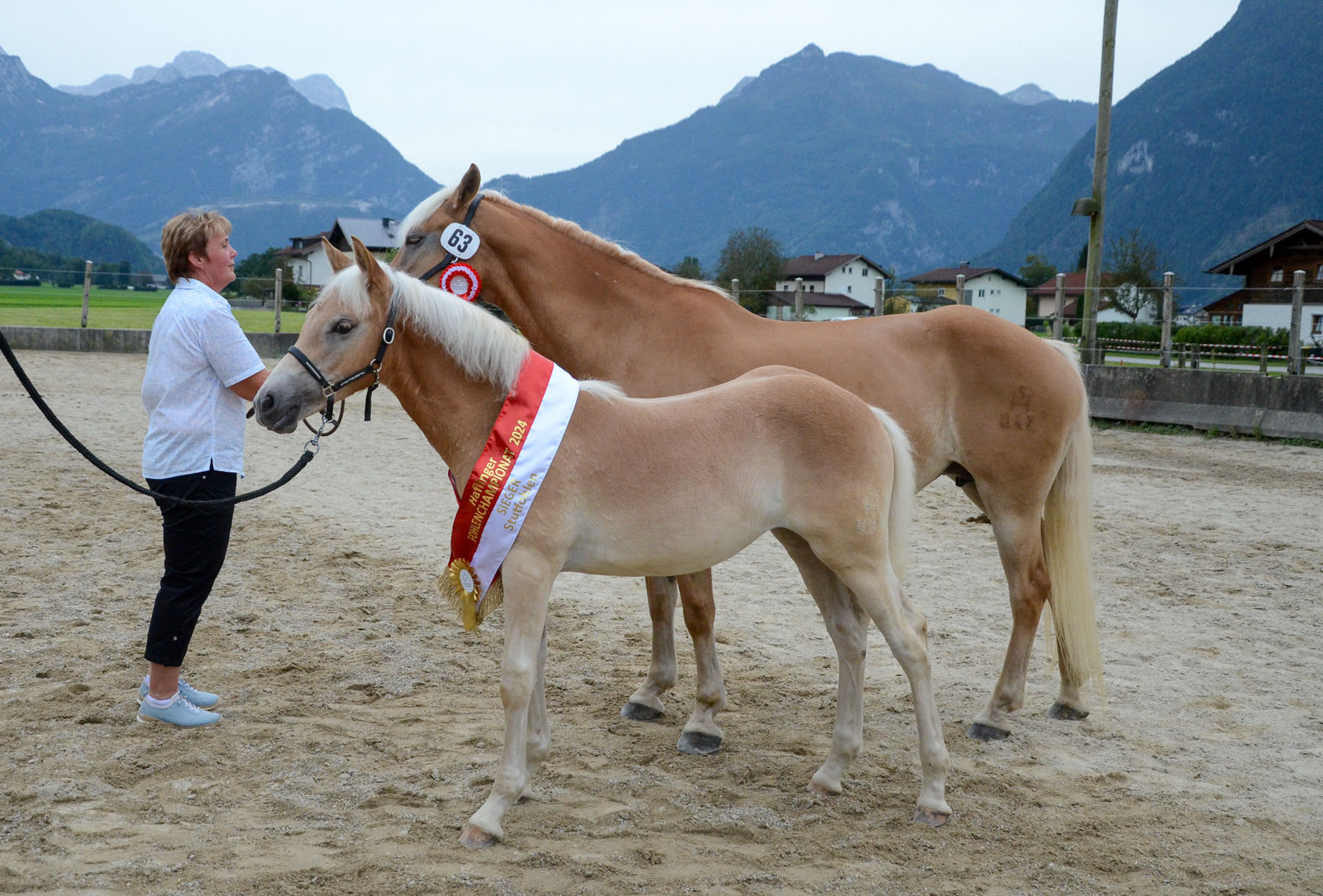 Vielversprechende Fohlen und Reitpferde in Kuchl.jpg © Pferdezucht Salzburg Vielversprechende Fohlen und Reitpferde in Kuchl.jpg © Pferdezucht Salzburg