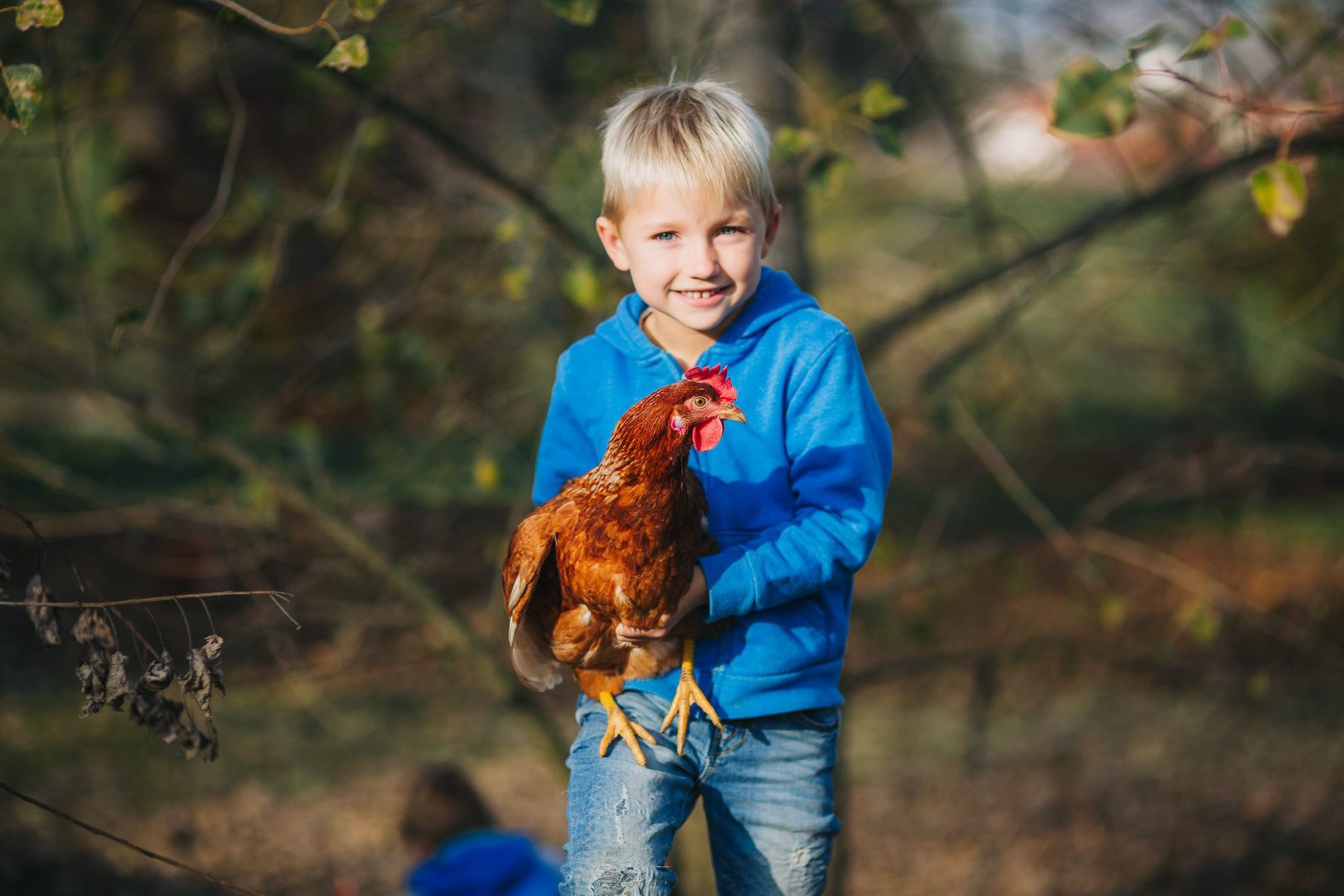 Ungebetene Gäste –  was tun gegen Vogelmilbe und Co?.jpg © AMA