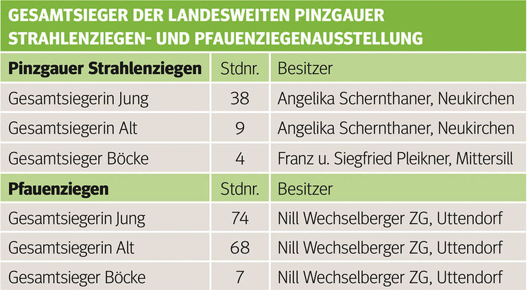 Hohe Qualität bei seltenen Rassen präsentiert.jpg