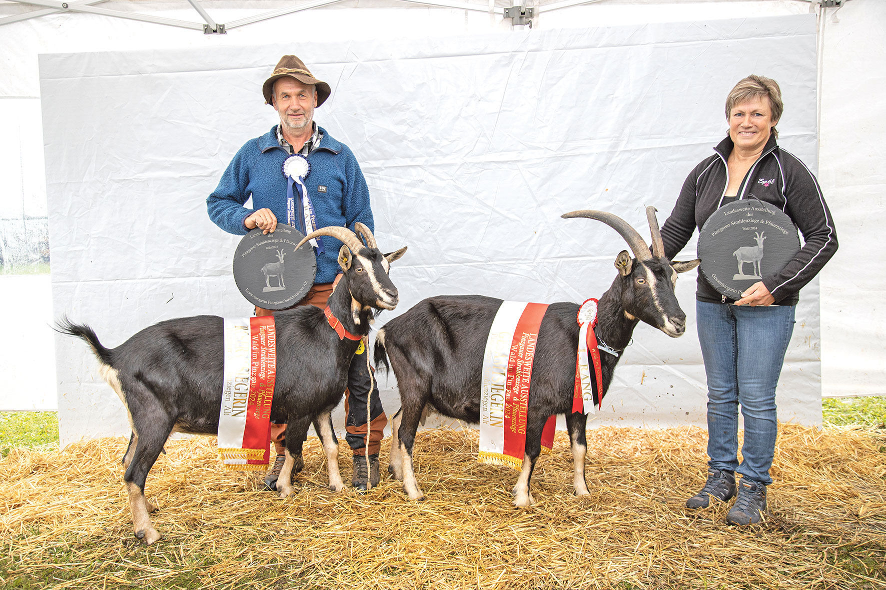 Hohe Qualität bei seltenen Rassen präsentiert.jpg © Salzburger Landesverband für Schafe und Ziegen Hohe Qualität bei seltenen Rassen präsentiert.jpg © Salzburger Landesverband für Schafe und Ziegen
