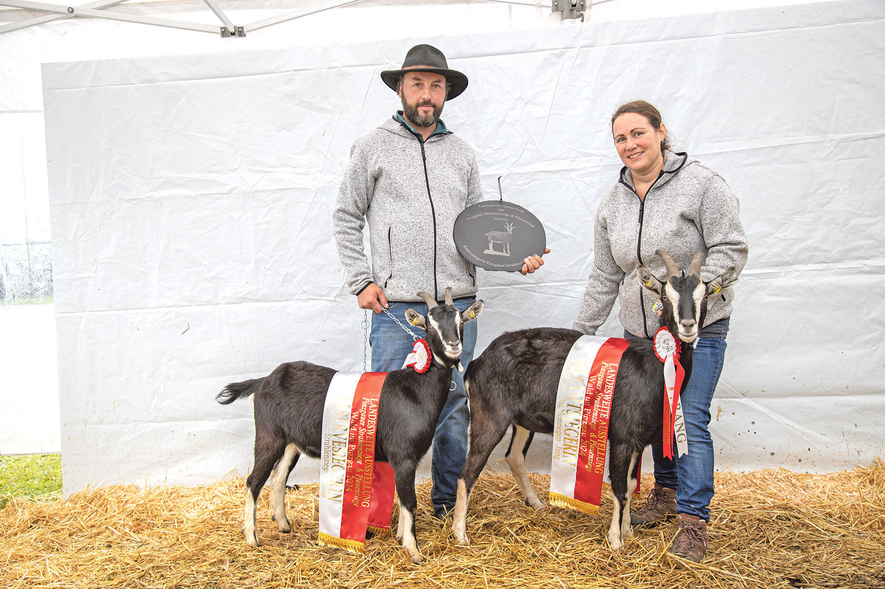 Hohe Qualität bei seltenen Rassen präsentiert.jpg © Salzburger Landesverband für Schafe und Ziegen Hohe Qualität bei seltenen Rassen präsentiert.jpg © Salzburger Landesverband für Schafe und Ziegen