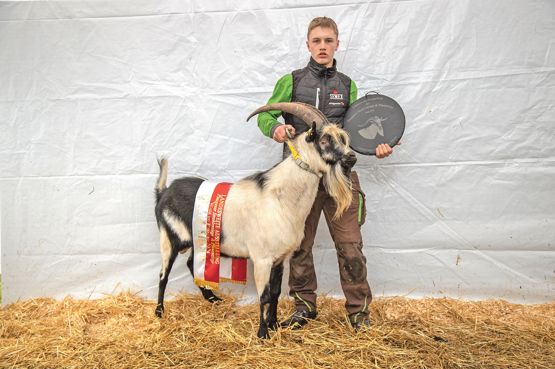 Hohe Qualität bei seltenen Rassen präsentiert.jpg © Salzburger Landesverband für Schafe und Ziegen Hohe Qualität bei seltenen Rassen präsentiert.jpg © Salzburger Landesverband für Schafe und Ziegen