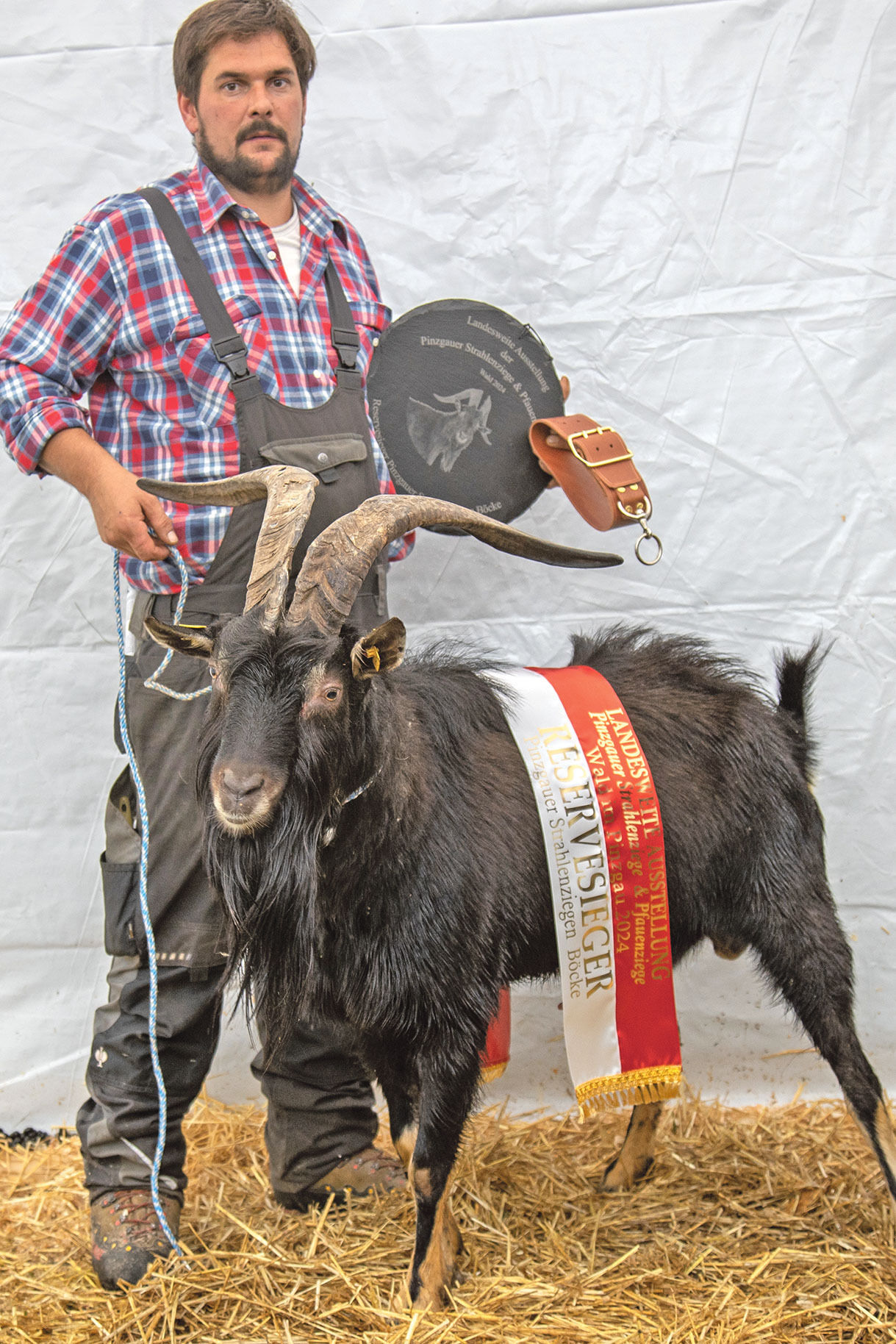 Hohe Qualität bei seltenen Rassen präsentiert.jpg © Salzburger Landesverband für Schafe und Ziegen Hohe Qualität bei seltenen Rassen präsentiert.jpg © Salzburger Landesverband für Schafe und Ziegen