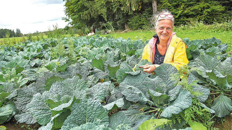 Landwirtschaft mehr als Schauprojekt.jpg © Prof. Mag. Josef A. Standl