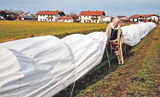 Landwirtschaft mehr als Schauprojekt.jpg © Prof. Mag. Josef A. Standl