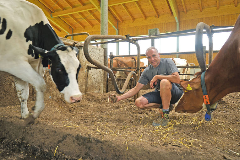 Der eigene  Waldboden   als Einstreu.jpg © Michael Hatheier