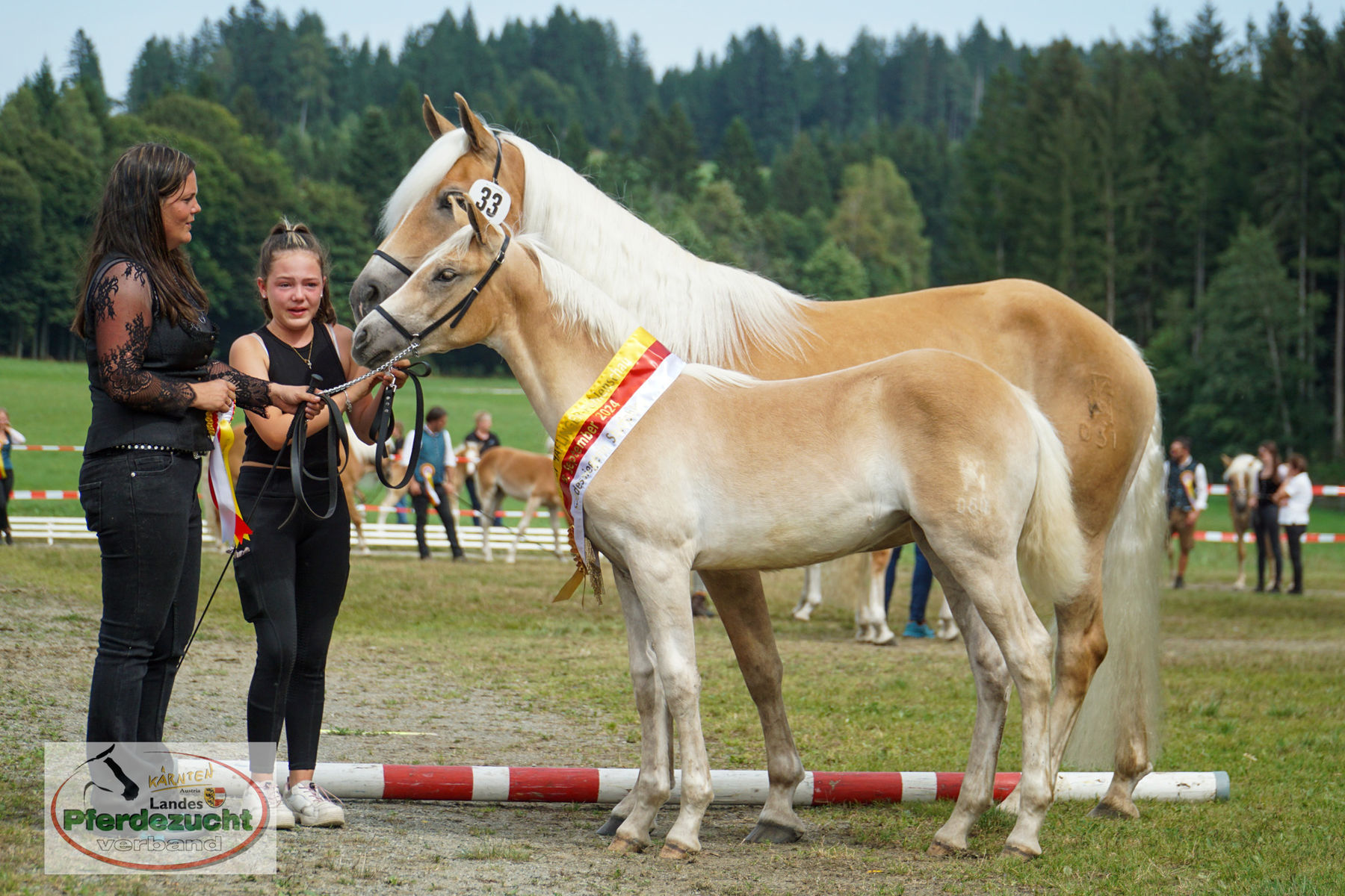 Ktn Ha Fohlenschau 2024-37 Cascada-G.jpg