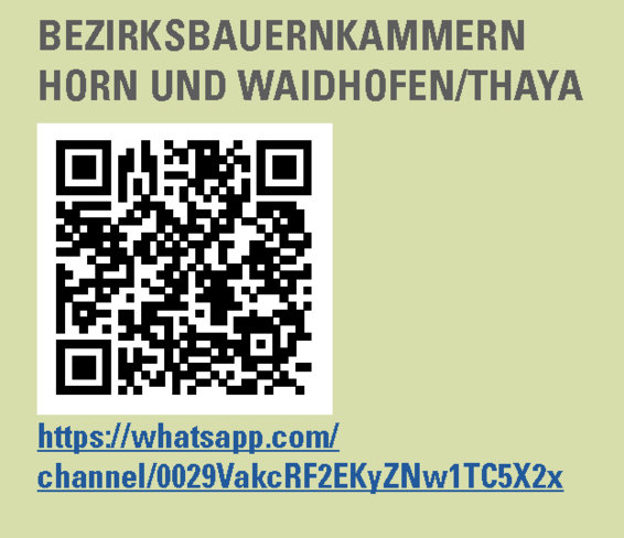 WhatsApp-Kanal HO-WT QR-Code mit Text und Link.png