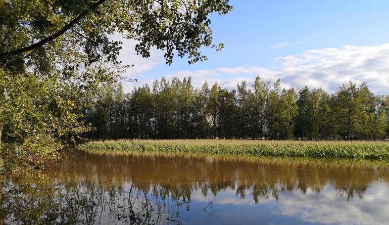 Hochwasser Bezirk Perg Sept. 2023 2 Tober.jpg