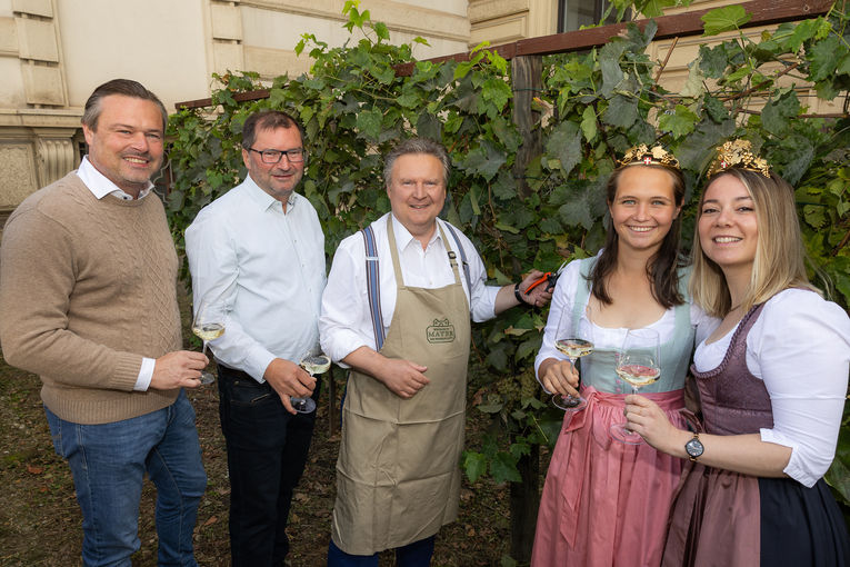 Weinlese am Schwarzenbergplatz.jpg