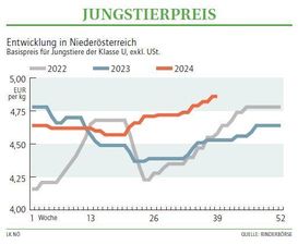 Grafik Stierpreis 39 2024.jpg