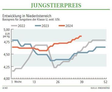 Grafik Stierpreis 39_2024.jpg © LK NÖ