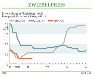 Grafik Zwiebelpreis 39_2024.jpg © LK NÖ