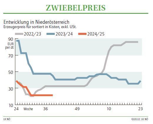 Grafik Zwiebelpreis 39_2024.jpg © LK NÖ