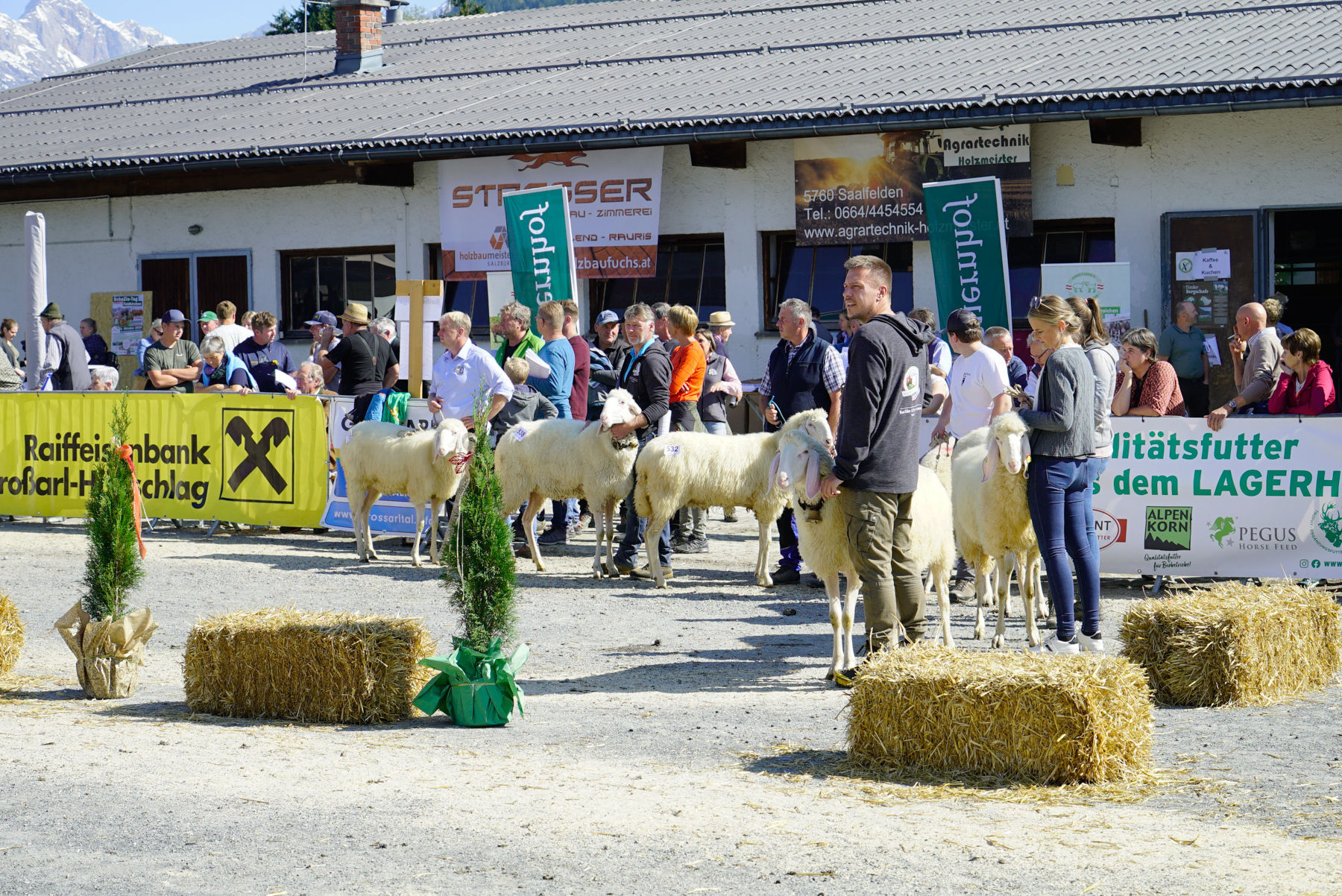 Landesschau für Schafe in Maishofen 2024.jpg © Kronreif Landesschau für Schafe in Maishofen 2024.jpg © Kronreif