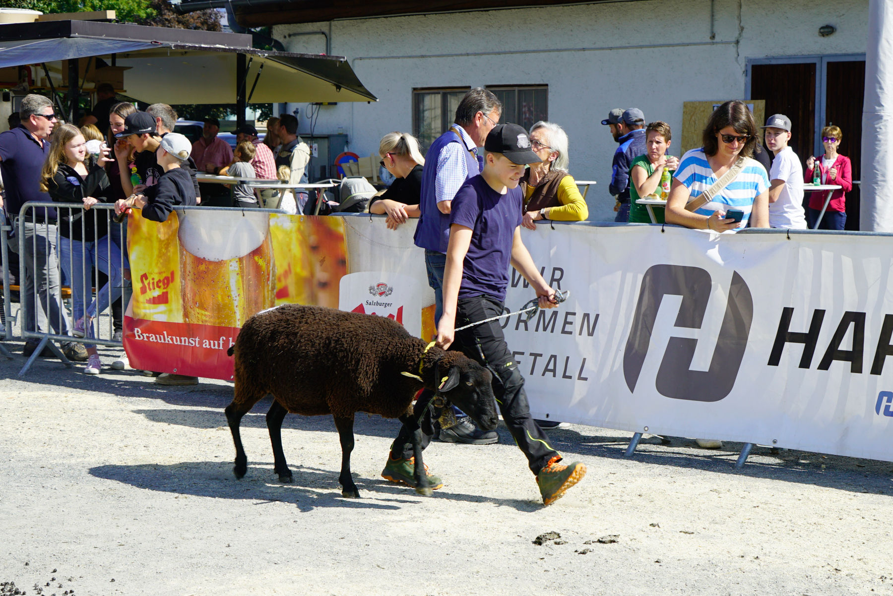 Landesschau für Schafe in Maishofen 2024.jpg © Kronreif Landesschau für Schafe in Maishofen 2024.jpg © Kronreif