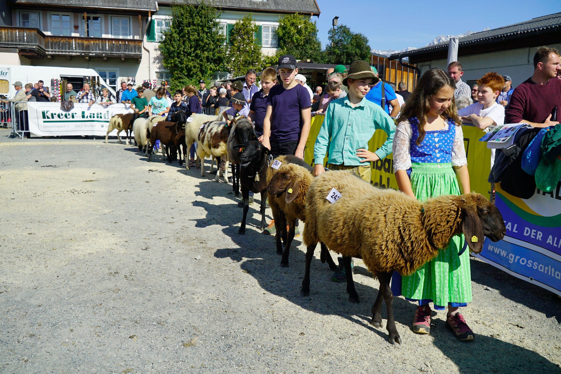 Landesschau für Schafe in Maishofen 2024.jpg © Kronreif