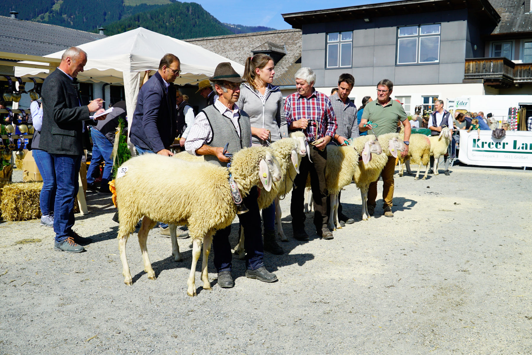 Landesschau für Schafe in Maishofen 2024.jpg © Kronreif Landesschau für Schafe in Maishofen 2024.jpg © Kronreif