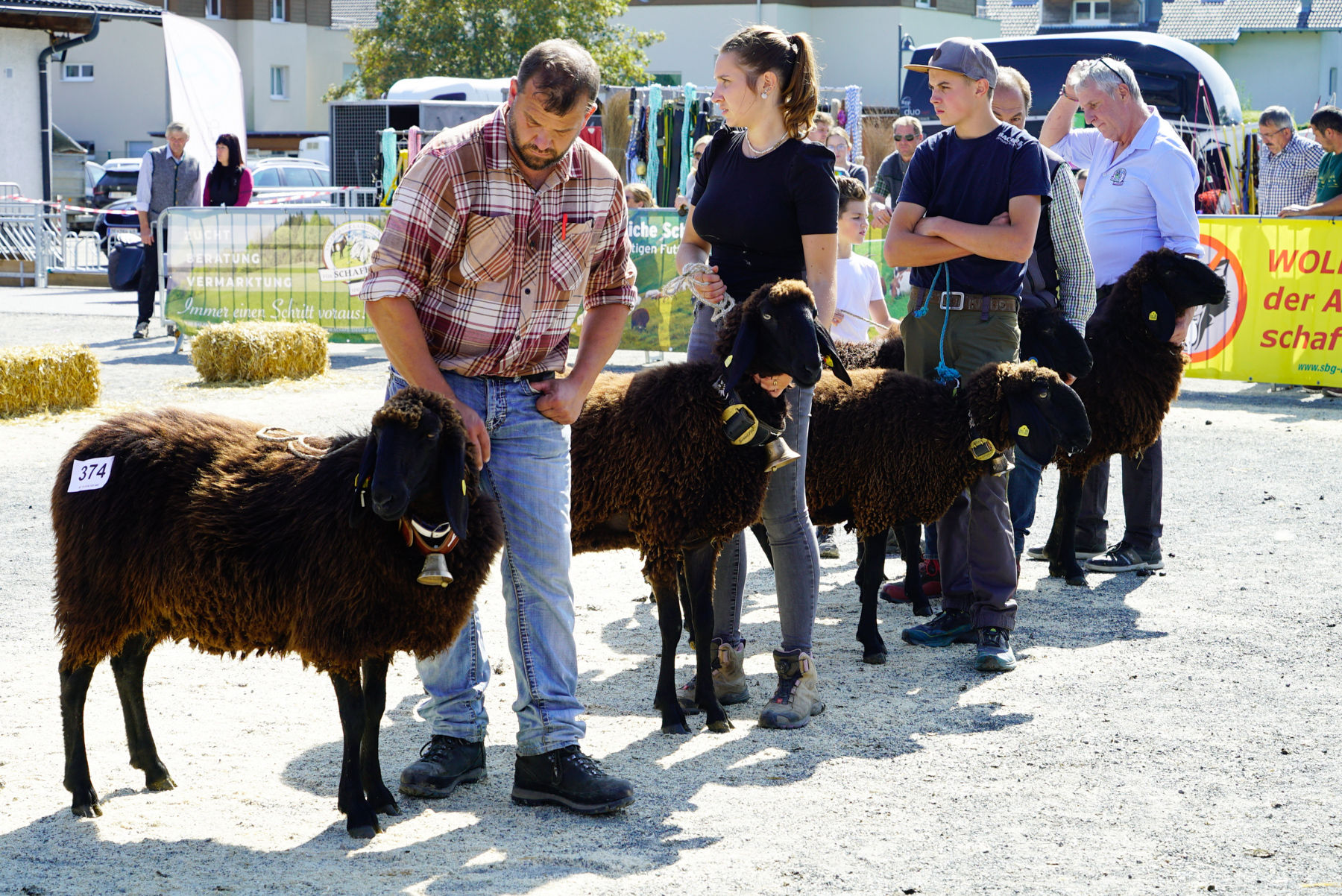 Landesschau für Schafe in Maishofen 2024.jpg © Kronreif