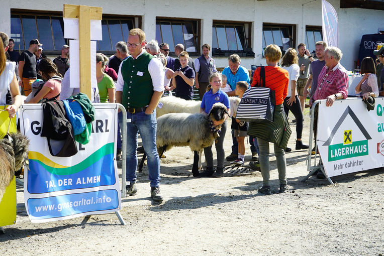 Landesschau für Schafe in Maishofen 2024.jpg © Kronreif