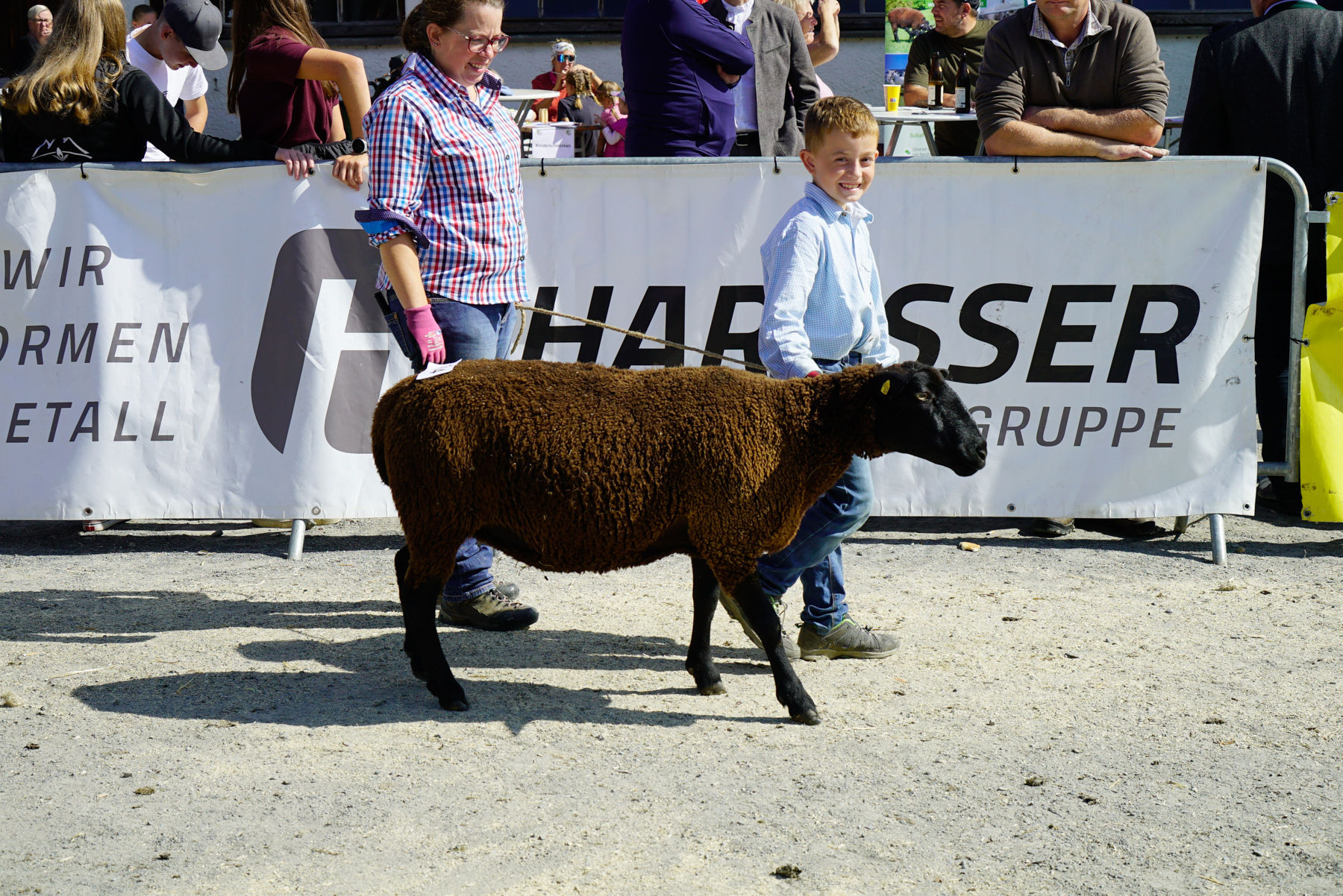 Landesschau für Schafe in Maishofen 2024.jpg © Kronreif Landesschau für Schafe in Maishofen 2024.jpg © Kronreif