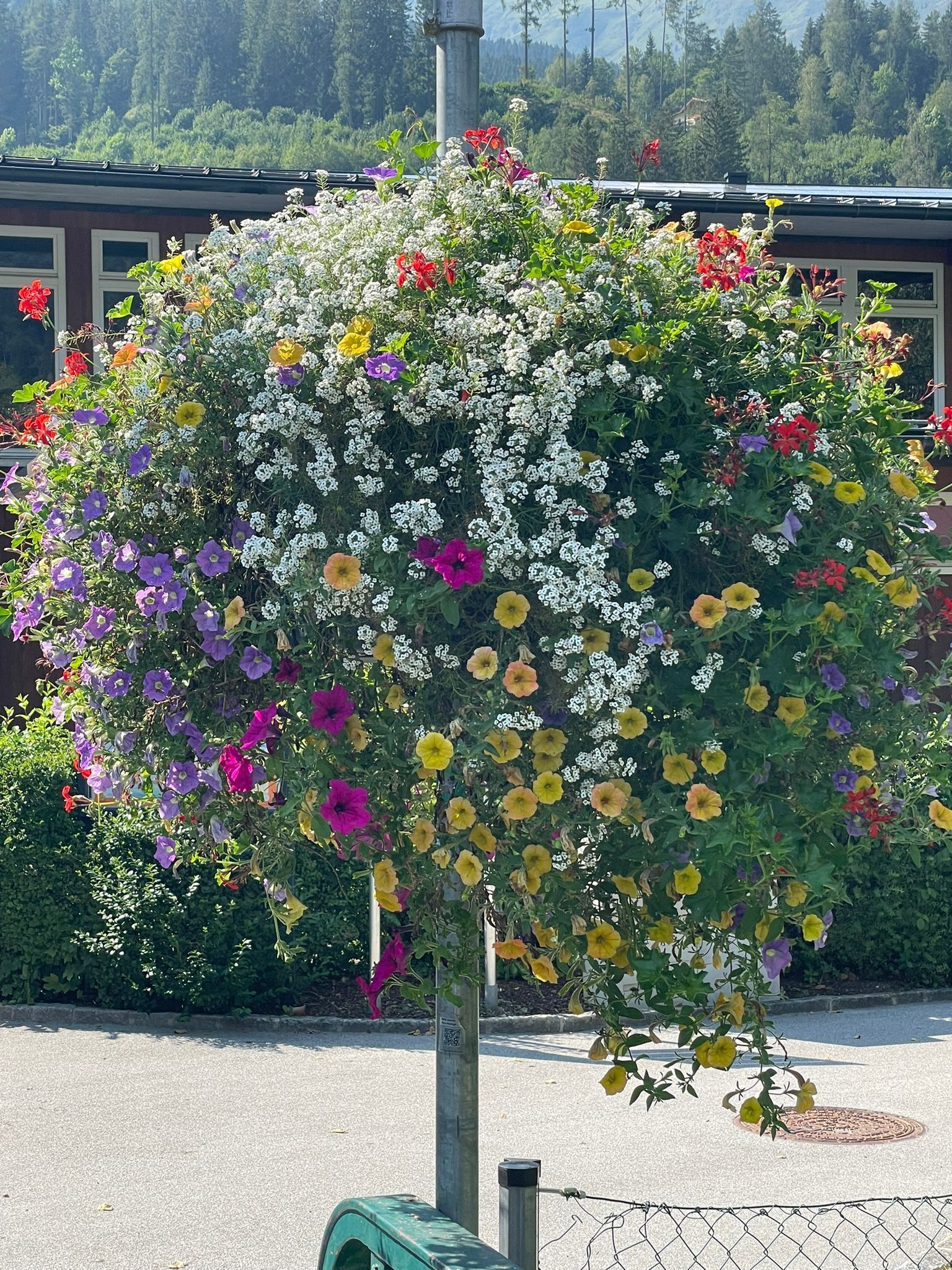 Bad Hofgastein ÖG 2.jpg © SGG