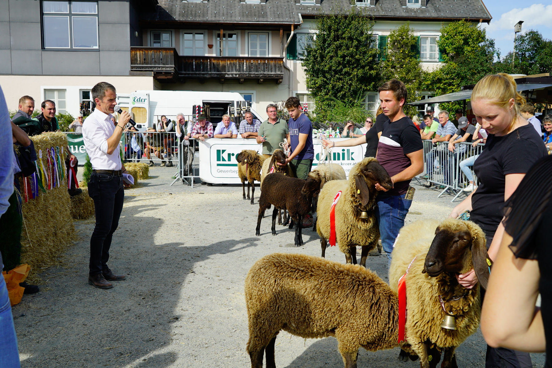 Landesschau für Schafe in Maishofen 2024_Teil 2.jpg © Kronreif Landesschau für Schafe in Maishofen 2024_Teil 2.jpg © Kronreif