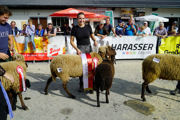 Landesschau für Schafe in Maishofen 2024_Teil 2.jpg © Kronreif Landesschau für Schafe in Maishofen 2024_Teil 2.jpg © Kronreif