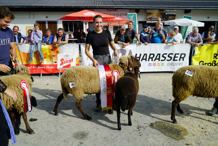 Landesschau für Schafe in Maishofen 2024_Teil 2.jpg © Kronreif