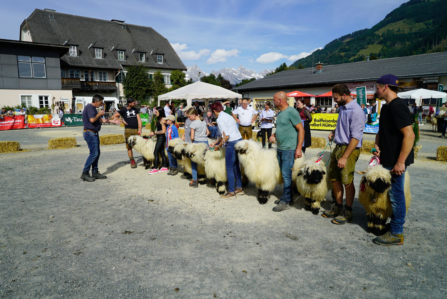 Landesschau für Schafe in Maishofen 2024 Teil 2.jpg