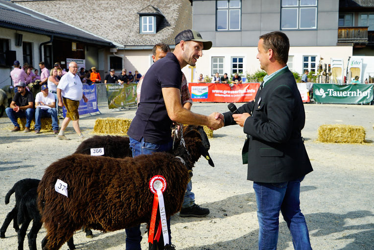 Landesschau für Schafe in Maishofen 2024_Teil 2.jpg © Kronreif