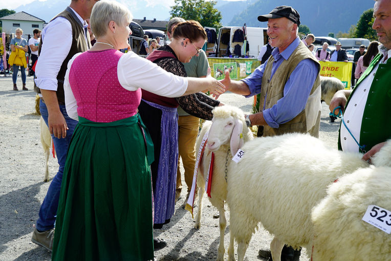 Landesschau für Schafe in Maishofen 2024_Teil 2.jpg © Kronreif