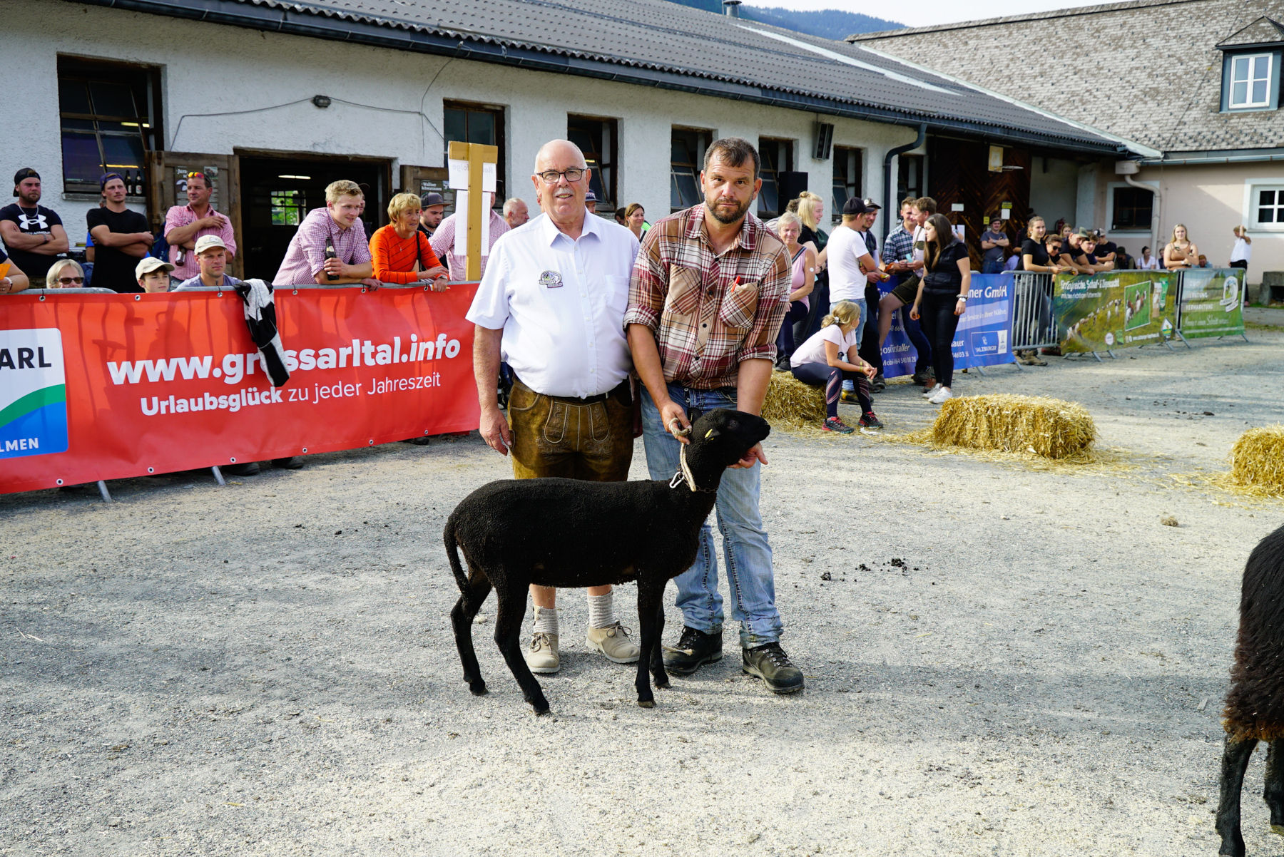 Landesschau für Schafe in Maishofen 2024_Teil 2.jpg © Kronreif