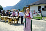 Landesschau für Schafe in Maishofen 2024_Teil 2.jpg © Kronreif Landesschau für Schafe in Maishofen 2024_Teil 2.jpg © Kronreif