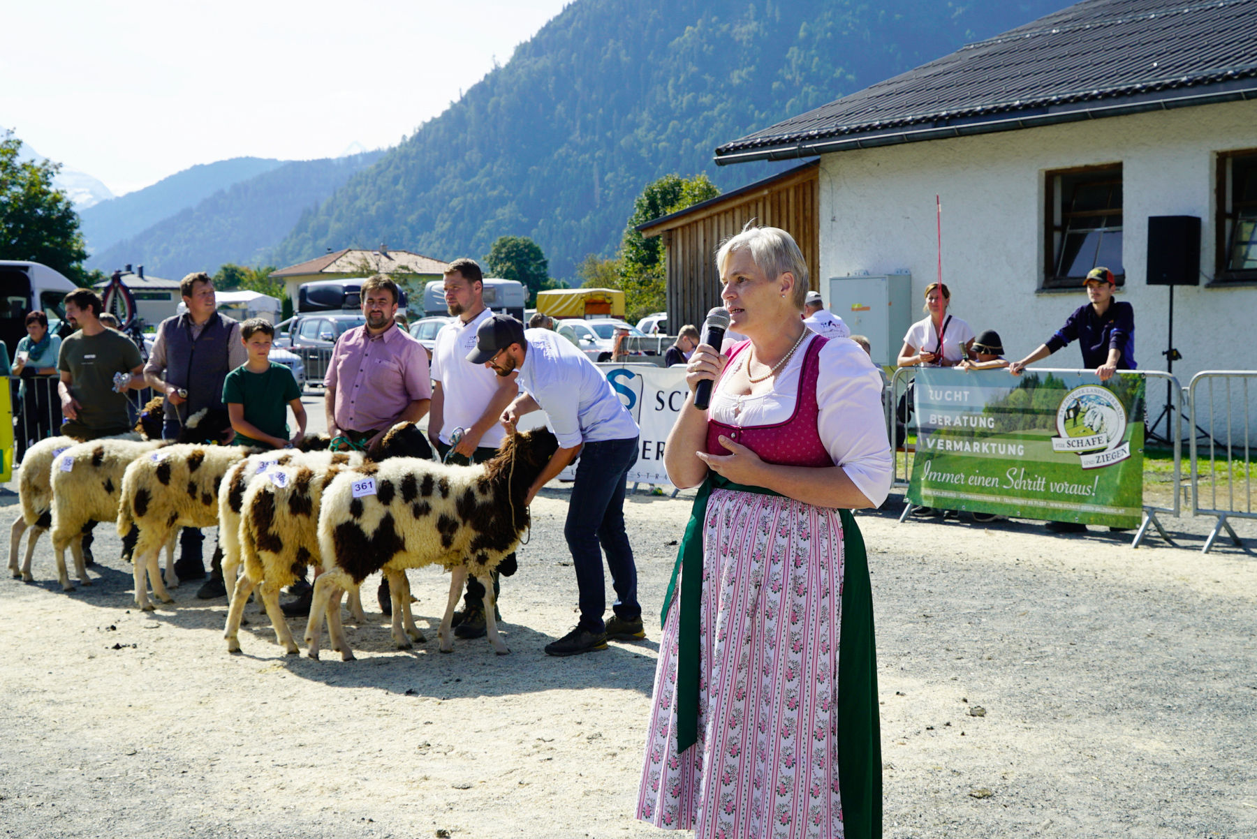 Landesschau für Schafe in Maishofen 2024_Teil 2.jpg © Kronreif