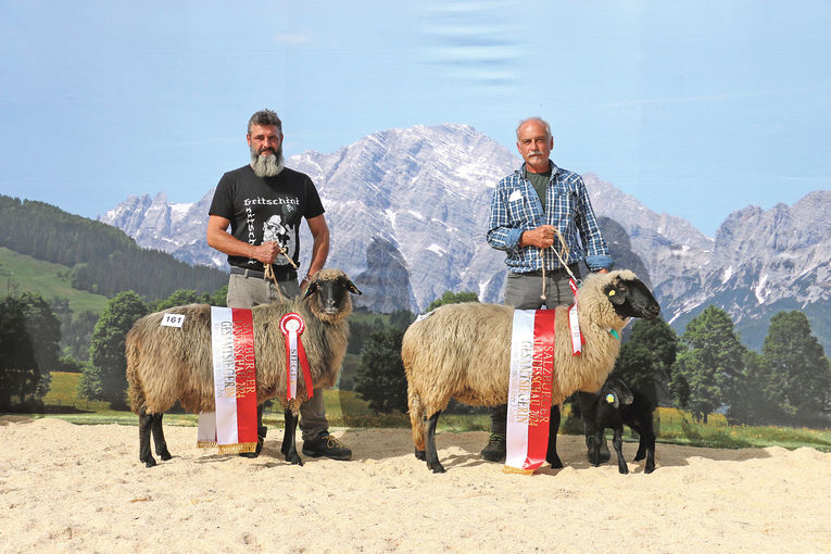 Landesschau mit  hervorragenden Tieren aus acht Rassen.jpg © Sendlhofer Landesschau mit  hervorragenden Tieren aus acht Rassen.jpg © Sendlhofer