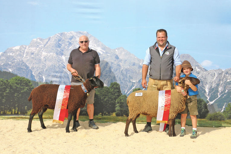 Landesschau mit  hervorragenden Tieren aus acht Rassen.jpg © Sendlhofer Landesschau mit  hervorragenden Tieren aus acht Rassen.jpg © Sendlhofer