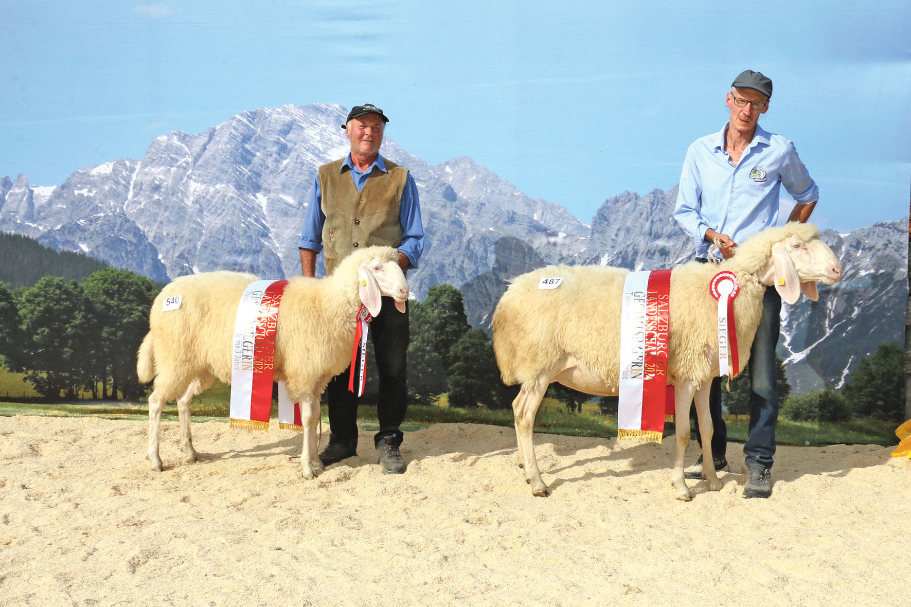 Landesschau mit  hervorragenden Tieren aus acht Rassen.jpg © Sendlhofer Landesschau mit  hervorragenden Tieren aus acht Rassen.jpg © Sendlhofer