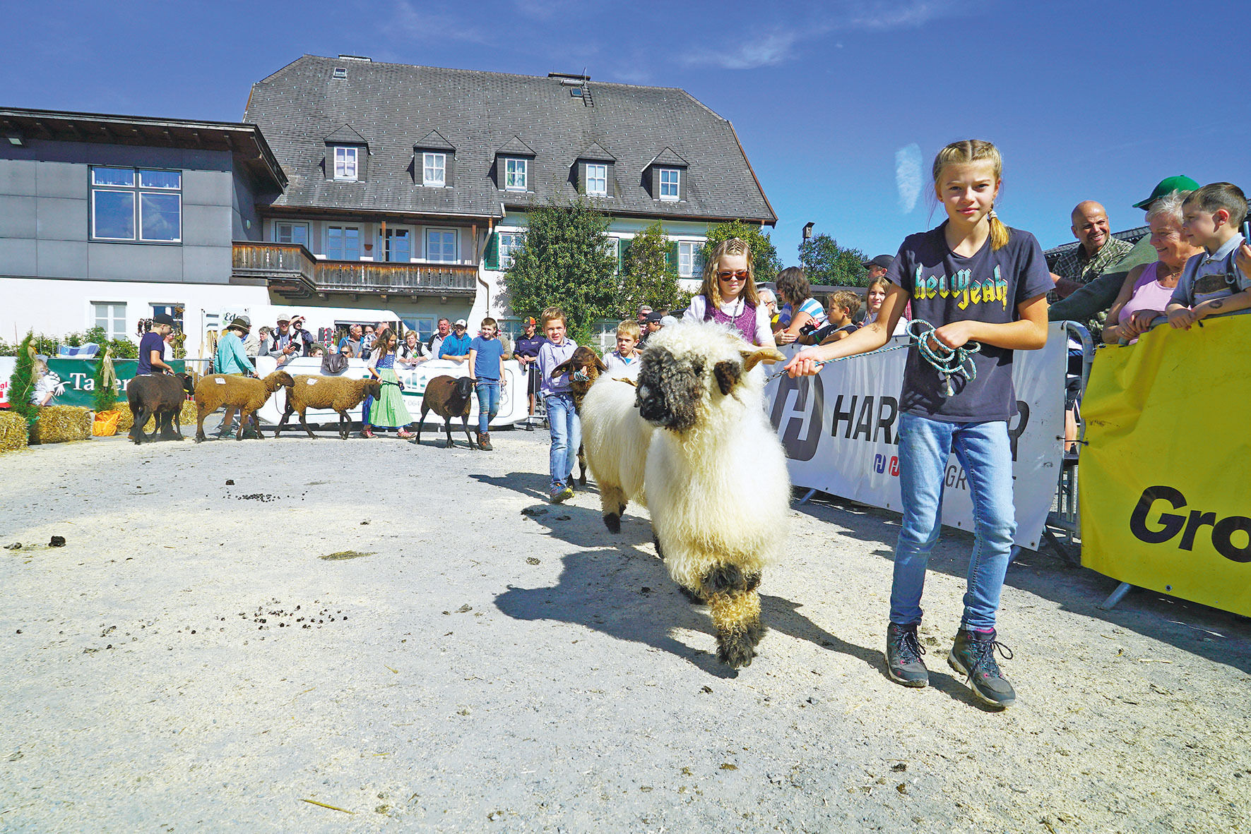 Landesschau mit  hervorragenden Tieren aus acht Rassen.jpg © Kronreif Landesschau mit  hervorragenden Tieren aus acht Rassen.jpg © Kronreif