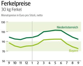 NÖ: Ausblick auf den Ferkelmarkt im Oktober