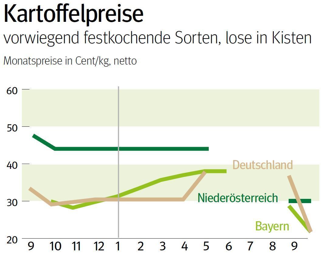 NÖ: Ausblick auf den Kartoffelmarkt im Oktober