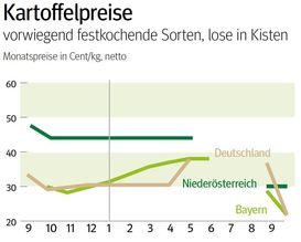 NÖ: Ausblick auf den Kartoffelmarkt im Oktober