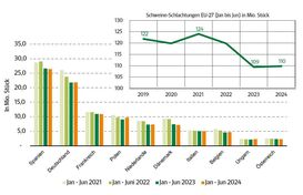 Grafik EU Schweineschlachtungen 10 2024.jpg