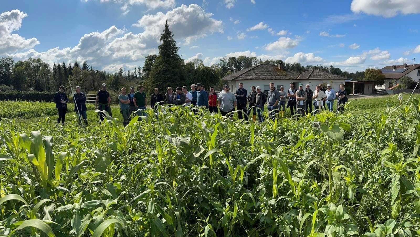 Feldbegehung in Eberstalzell, 17. September 2024