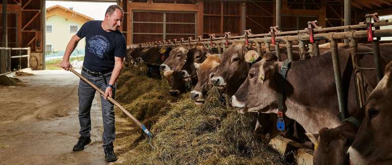 Hartlieb_(C)_Arnold_Poeschl_NWK__2020_3178__.jpg © Arnold Poeschl